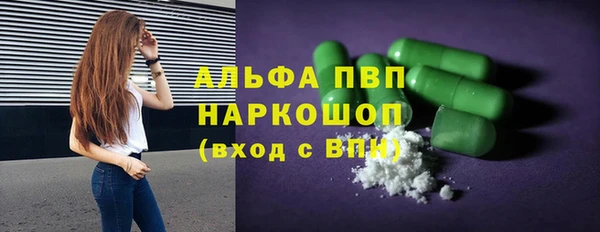 сатива Абинск