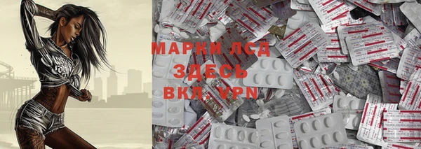 сатива Абинск
