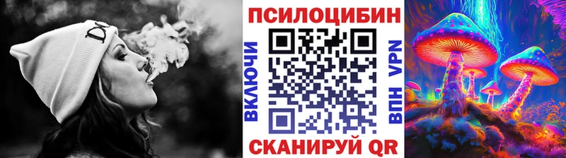 кракен   Адыгейск  Галлюциногенные грибы Psilocybine cubensis 
